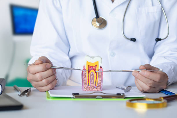 Best Emergency Dental Care for Broken or Chipped Teeth in Palos Park, IL